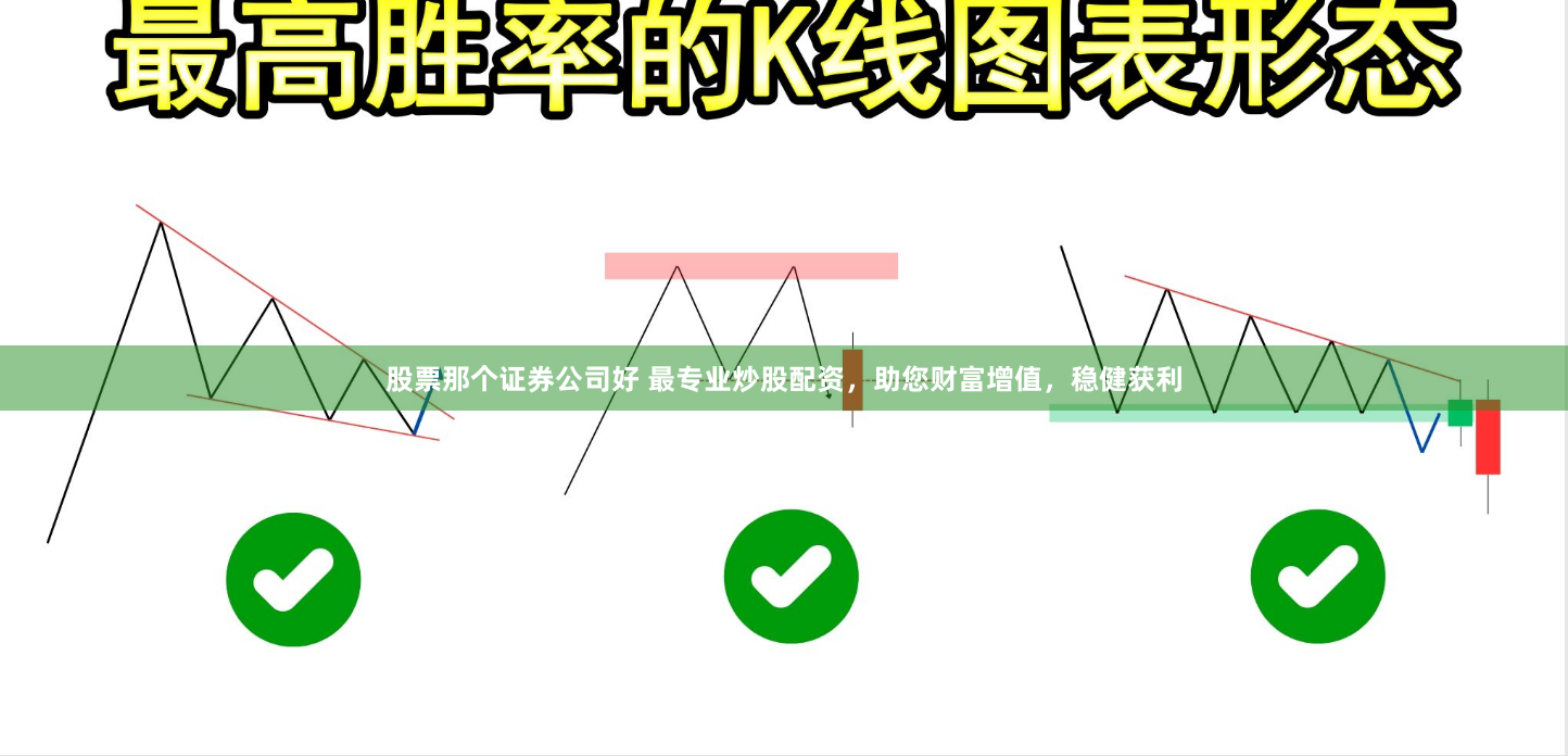 股票那个证券公司好 最专业炒股配资，助您财富增值，稳健获利