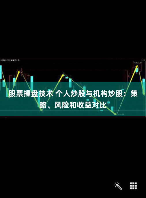 股票操盘技术 个人炒股与机构炒股：策略、风险和收益对比