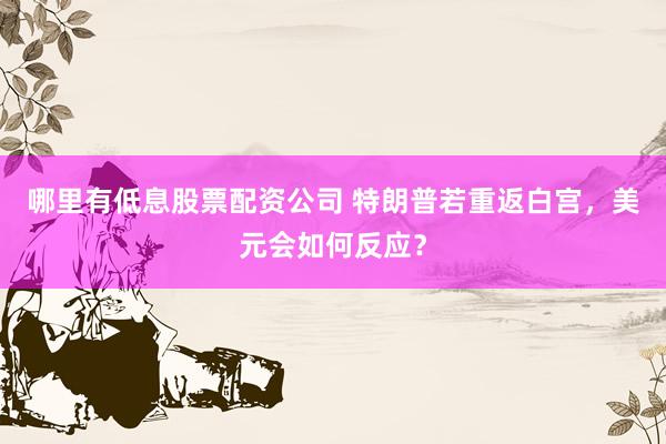 哪里有低息股票配资公司 特朗普若重返白宫，美元会如何反应？