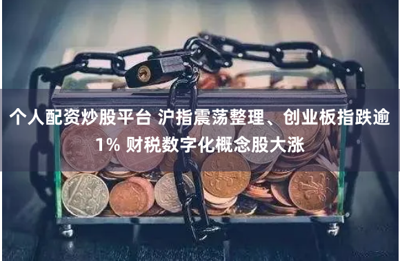 个人配资炒股平台 沪指震荡整理、创业板指跌逾1% 财税数字化概念股大涨