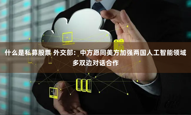 什么是私募股票 外交部：中方愿同美方加强两国人工智能领域多双边对话合作