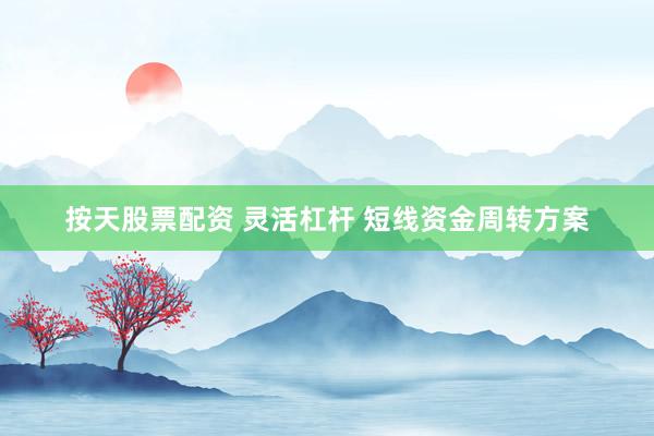 按天股票配资 灵活杠杆 短线资金周转方案